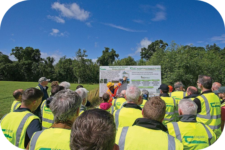 Attendees at an event