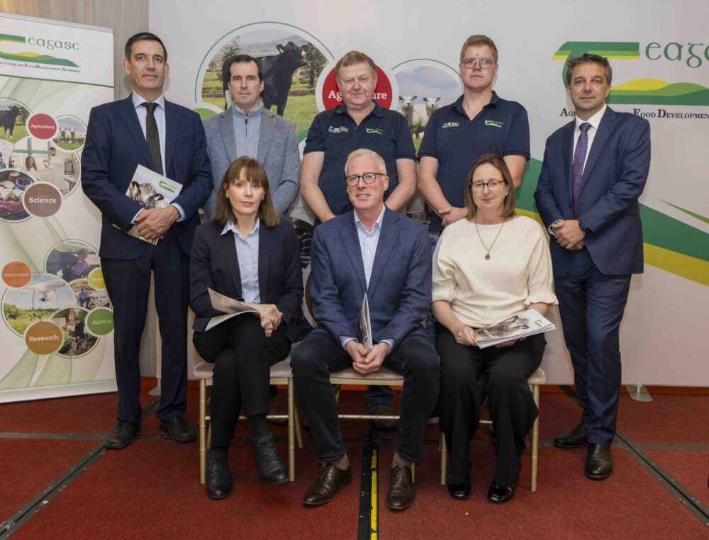 Beef farm profits 2025 – tax, planning and beyond