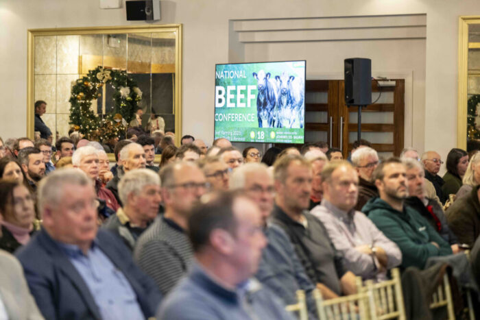 The challenge of high beef prices