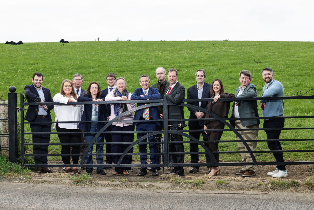 Achieving climate-friendly beef focus of cross-border research project
