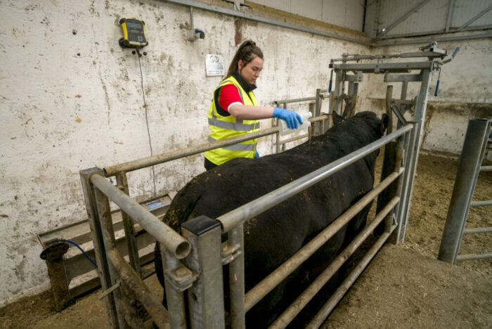 New Women in Farming Group to launch