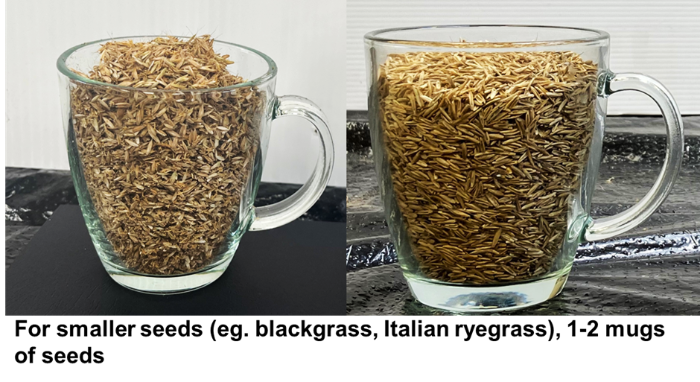 1 or 2 mugs for smaller seeds