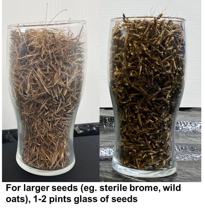 1 or 2 pint glasses for larger seeds