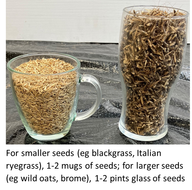 1 to 2 mugs for smaller seeds and 1 to 2 pint glasses for bigger seeds