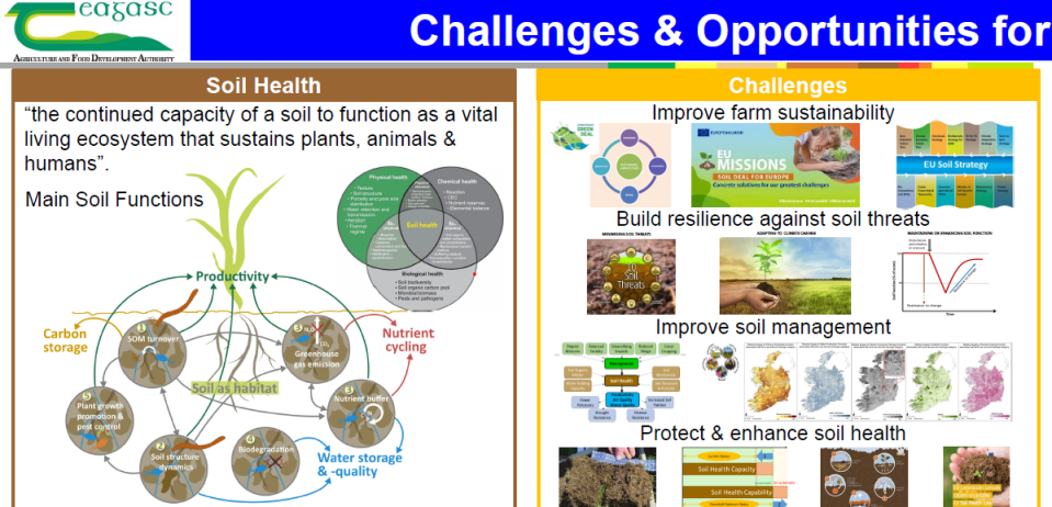 Soil Health is the continued capacity of soil to function as a vital living ecosystem sustaining plants, animals and humans