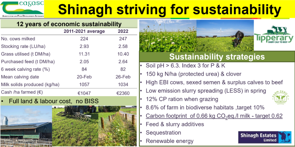 Shinagh