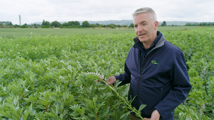 Dr Ewen Mullins pictured in an intercropping field of beans and peas