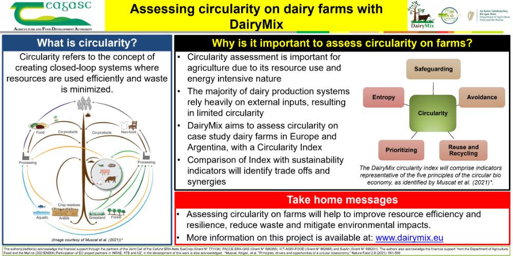 DairyMix project