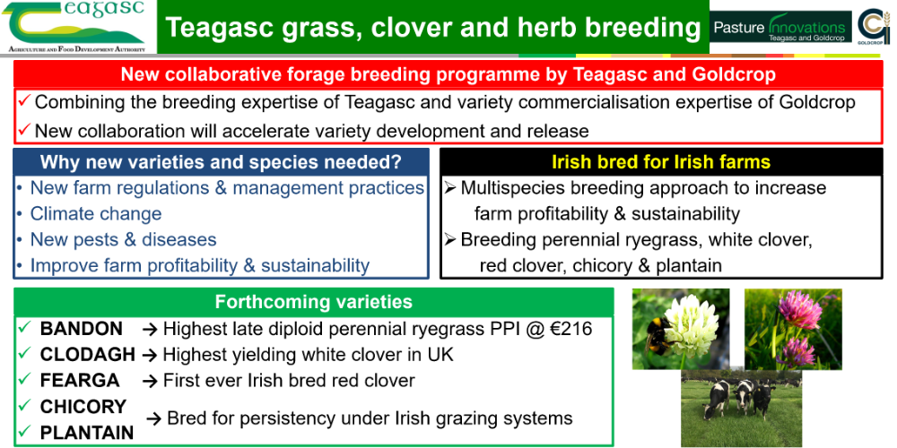 Grass Breeding