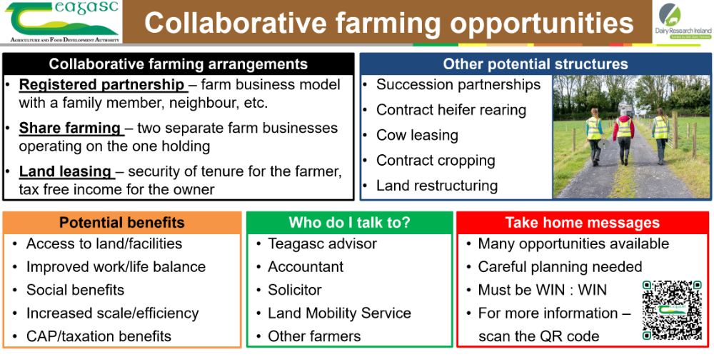 collaborative farming