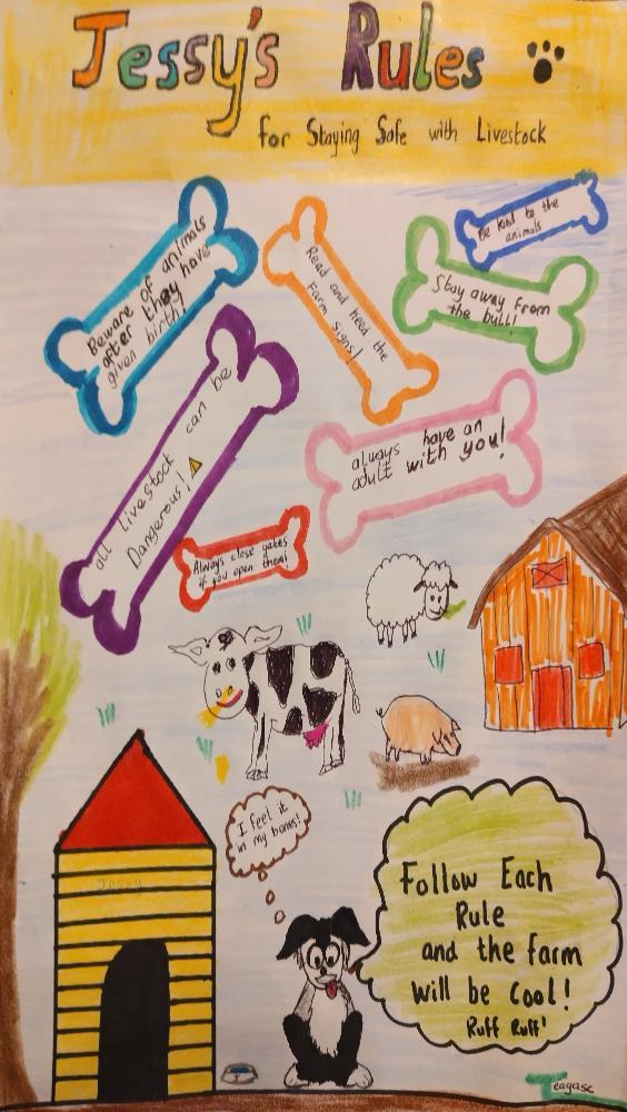 liam felle farm safety drawing