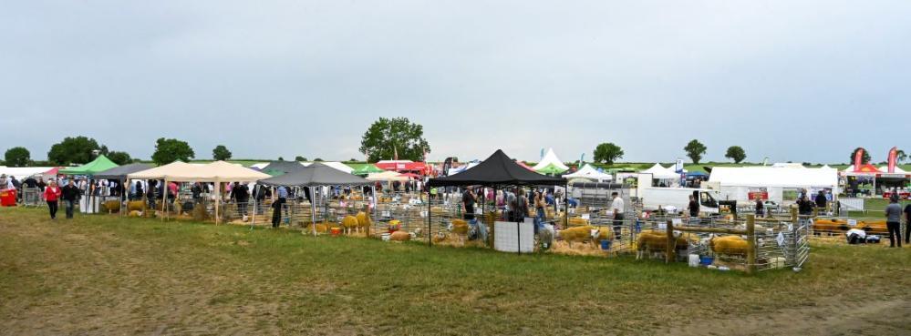 Thousands descend on Gurteen College for Sheep 2023