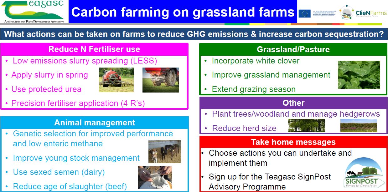 Actions to reduce GHG emissions and increase carbon sequestration - reduce N fertiliser use, improve animal genetics and management, improve grassland management, plant trees. woodland and manage hedgerows