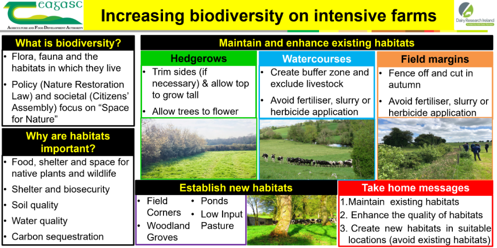 Biodiversity