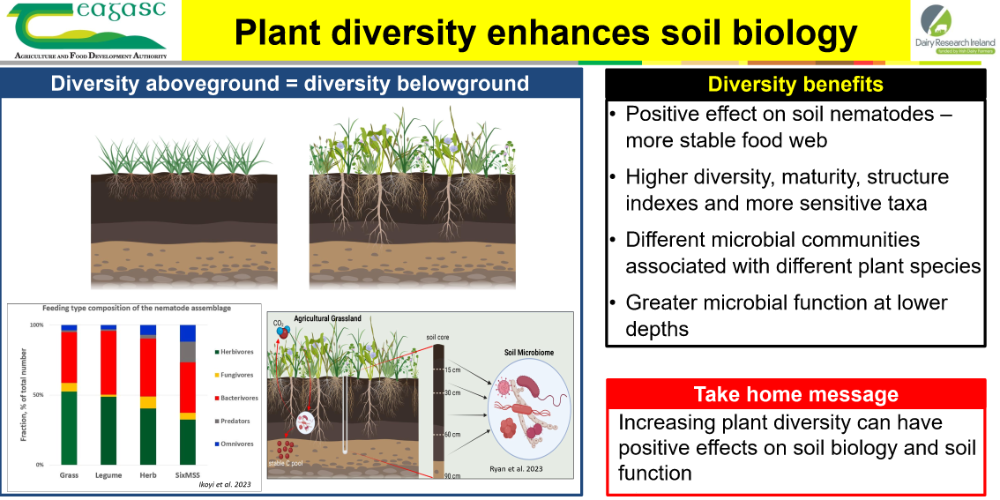 Plant diversity enhances soil biology