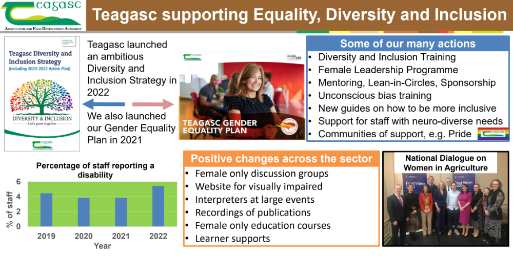 Equality Diversity and Inclusion