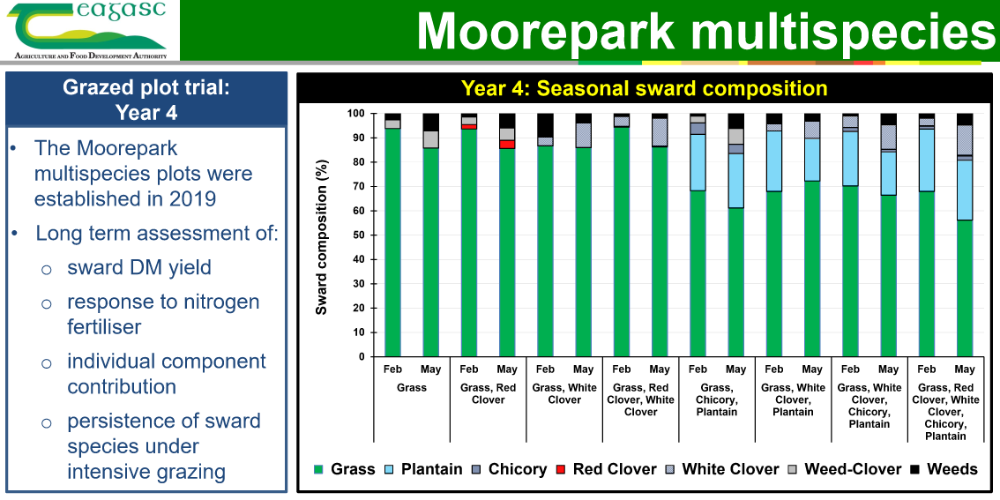 Moorepark Multispecies 1