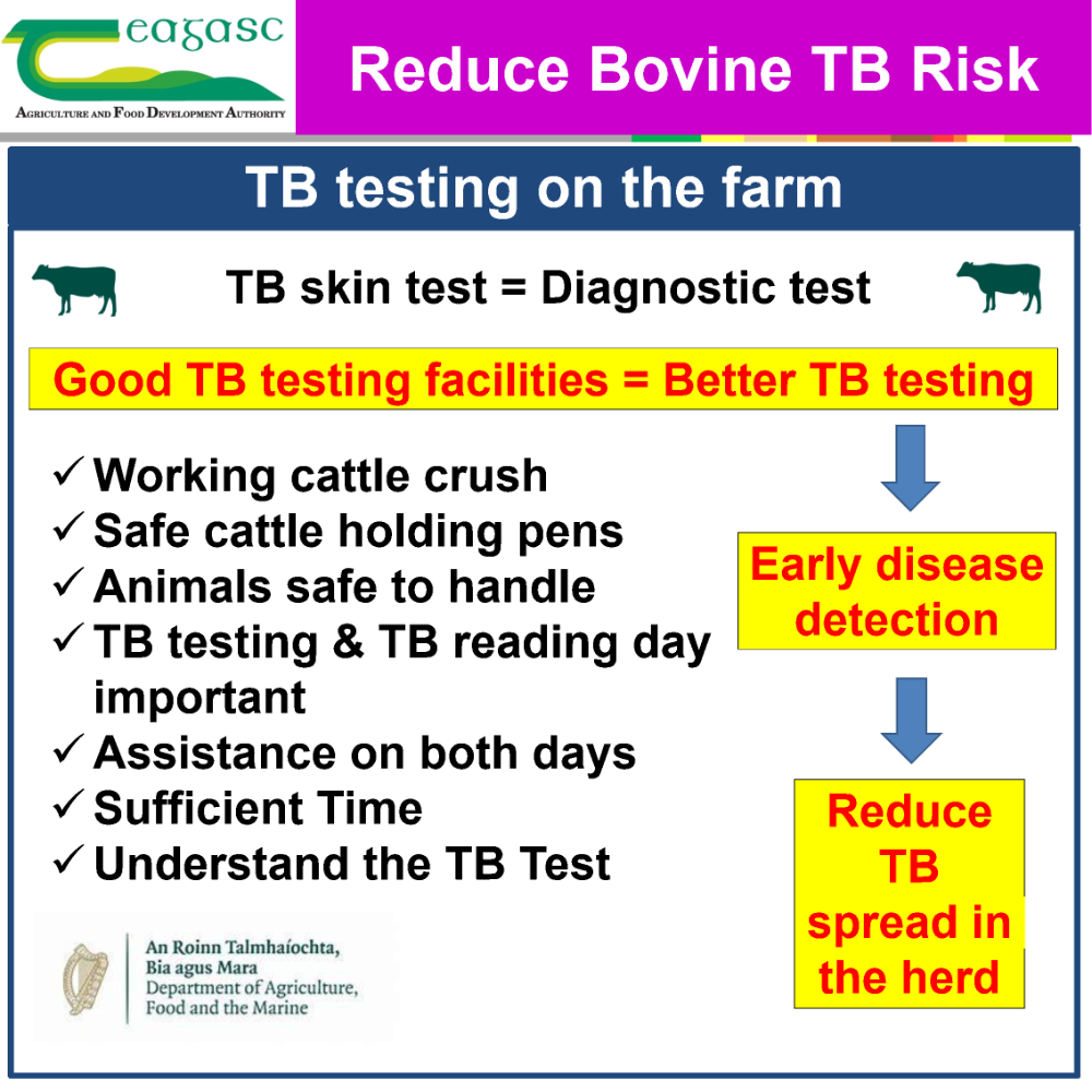 TB Testing on the farm 1