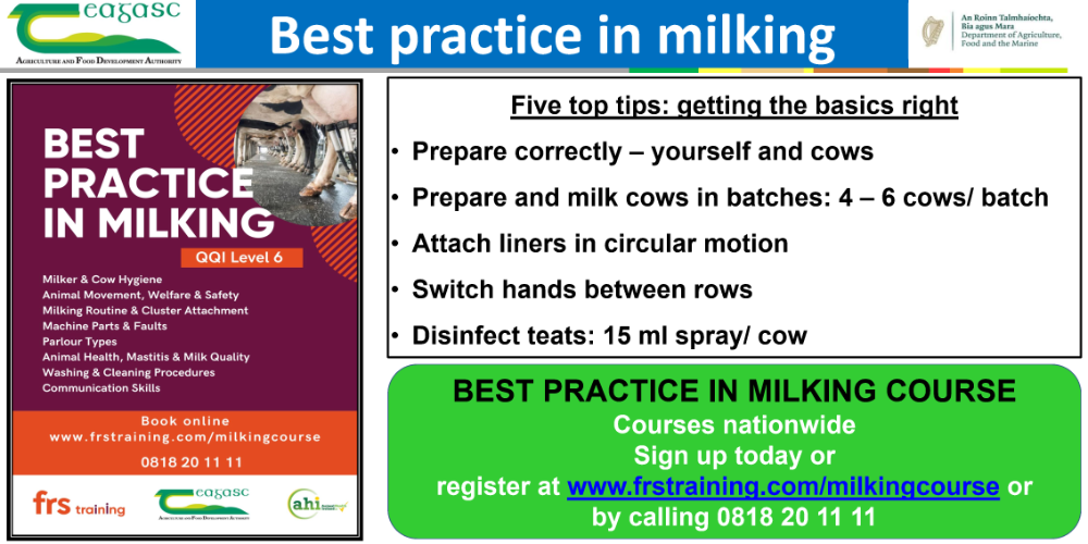 Best Practice in Milking