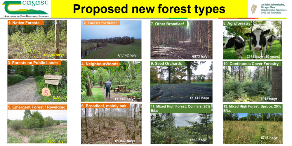 Proposed new forest types