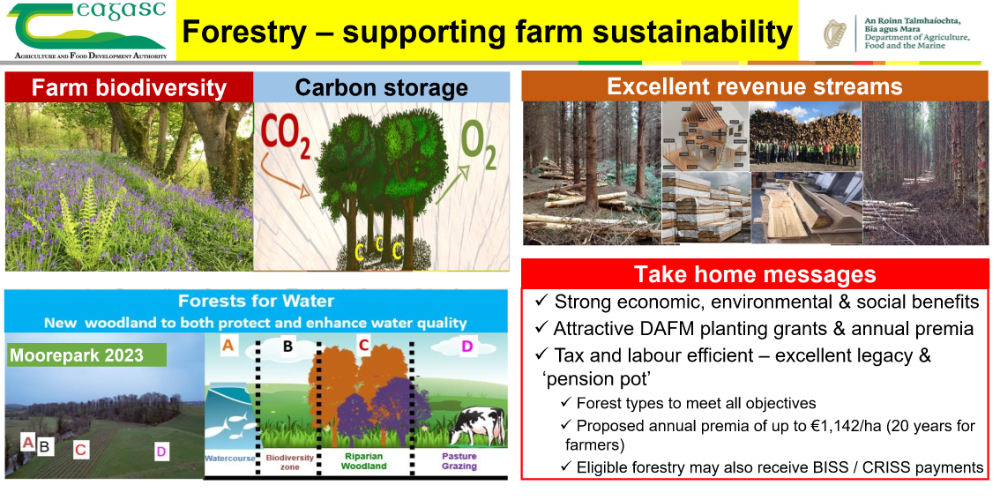 Forestry