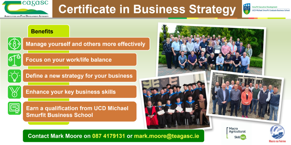 Business strategy