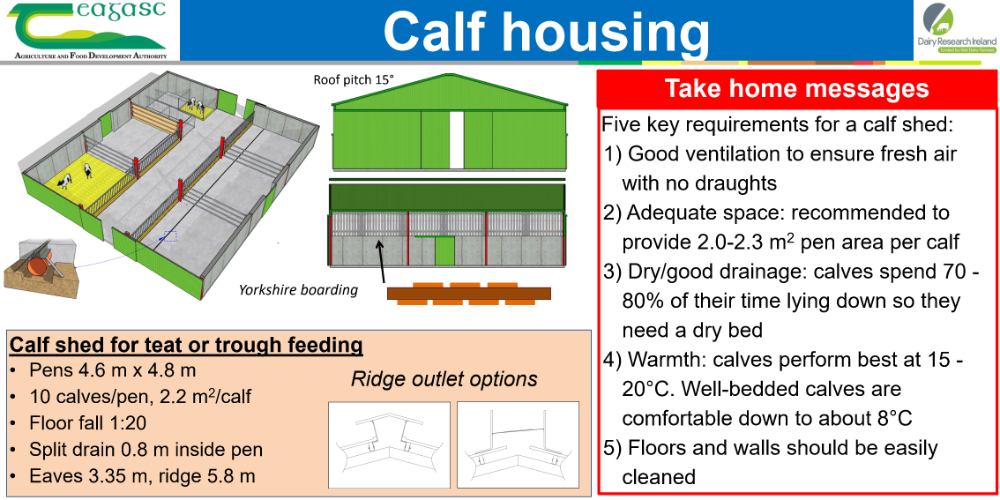 Calf Housing
