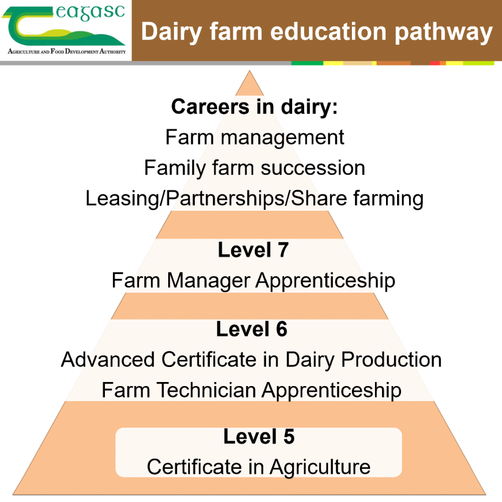 Dairy farm education pathway