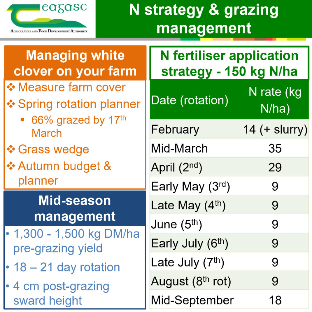 N strategy and grazing management