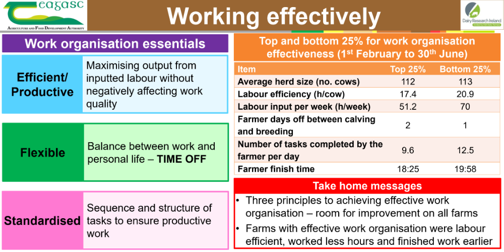 Working Effectively