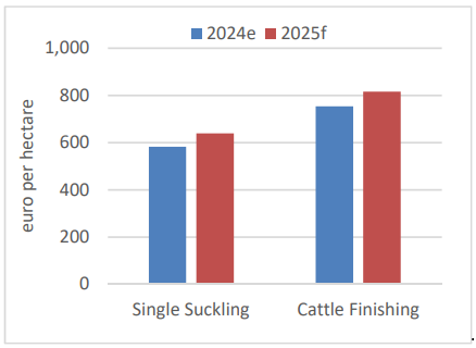 Bar chart showing the differences in single suckling and cattle finishing enterprises between 2024 and 2025, Although small, some improvements in gross margins are forecast