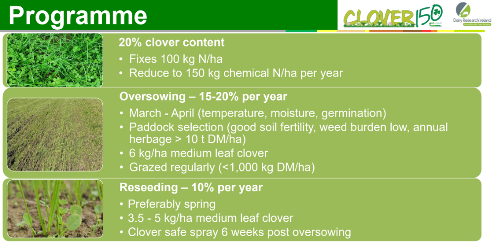 Clover150 2