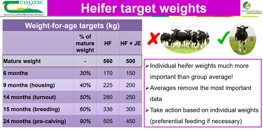 Target weights