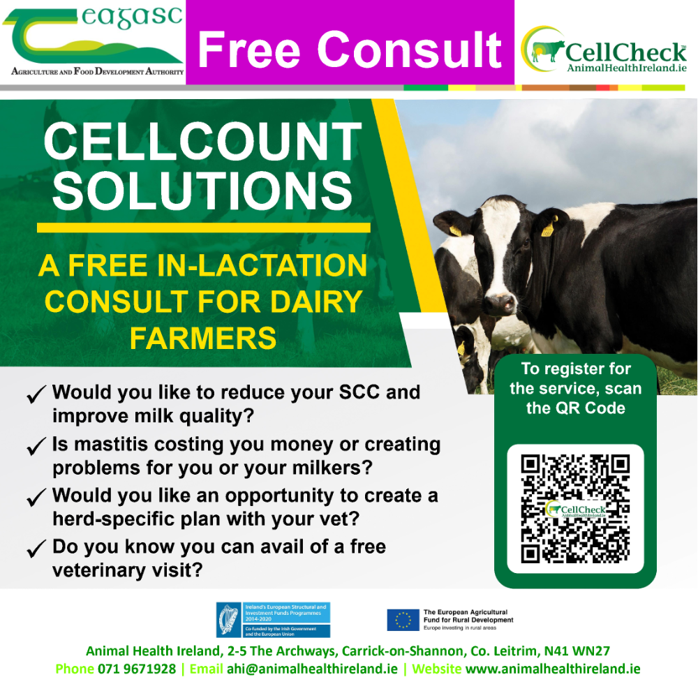 CellCheck