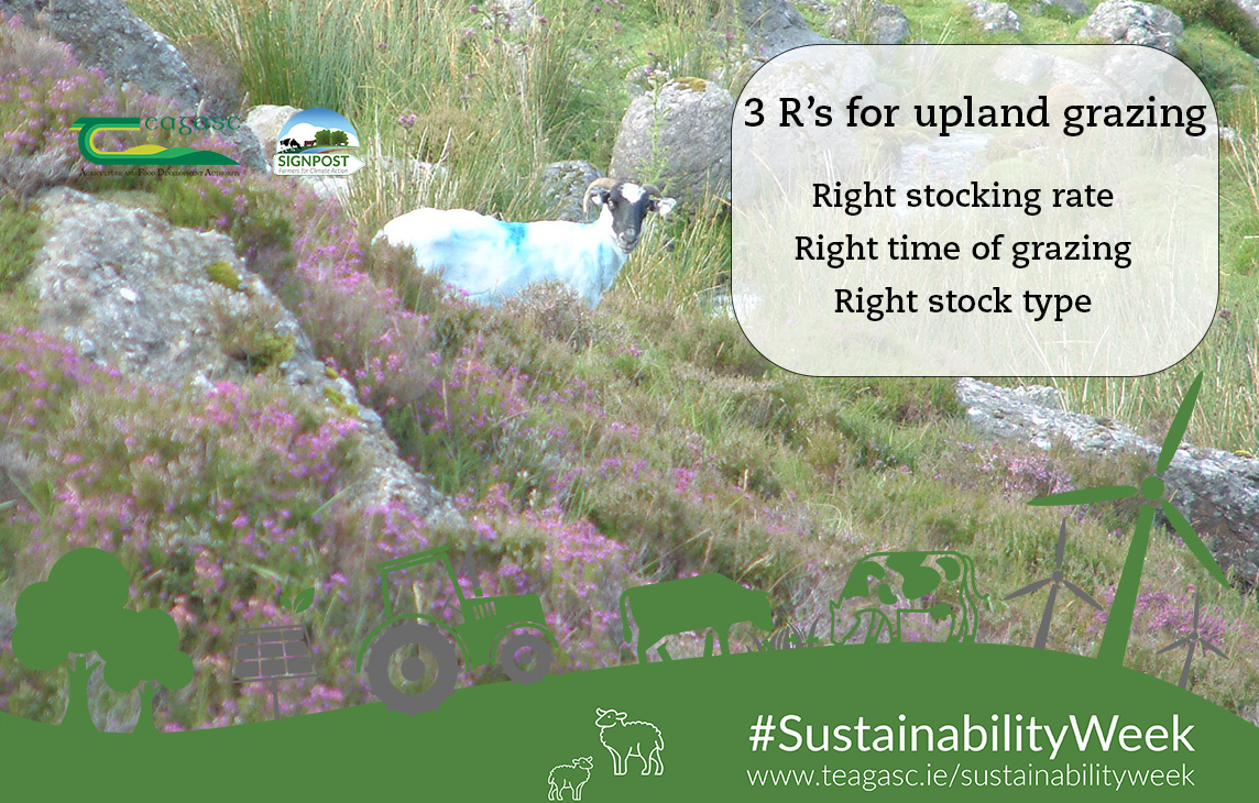 3 Rs for upland grazing