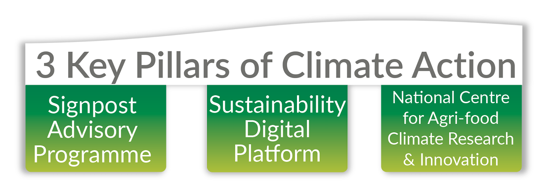 3 key pillars of climate action details in text above image