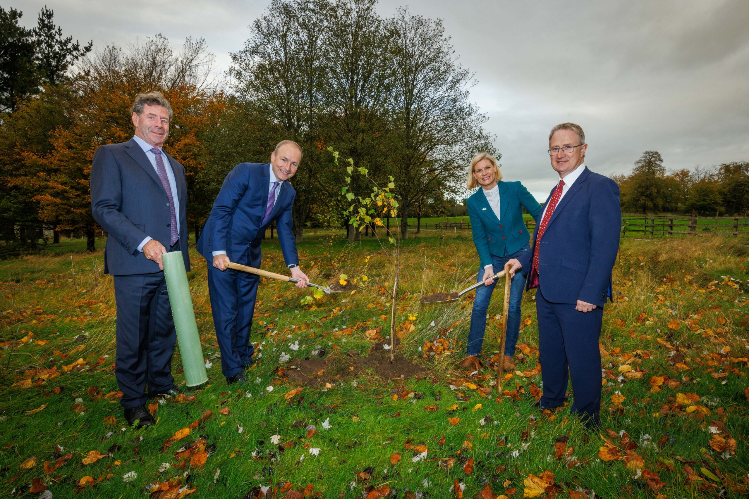 €1.3 billion announced for new Forestry Supports