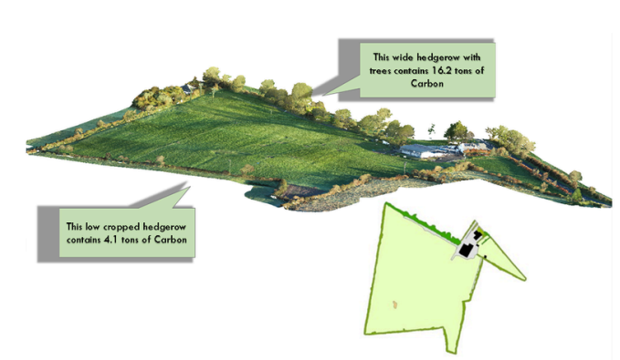A 3D model of a signpost farm block, with accompanying habitat map