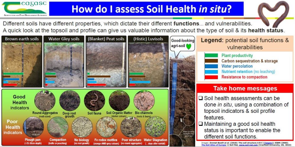 Different soils have different properties, which dictate their different functions and vulnerabilities. A quick look at the topsoiland profile can give valuable information about the type of soil and it's health status