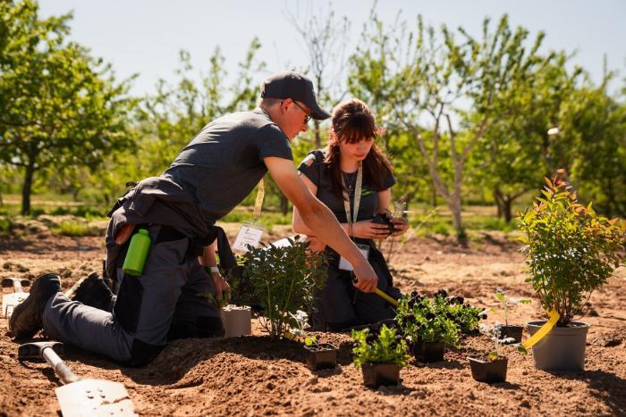 Chélirs & Aoife planting shrubs