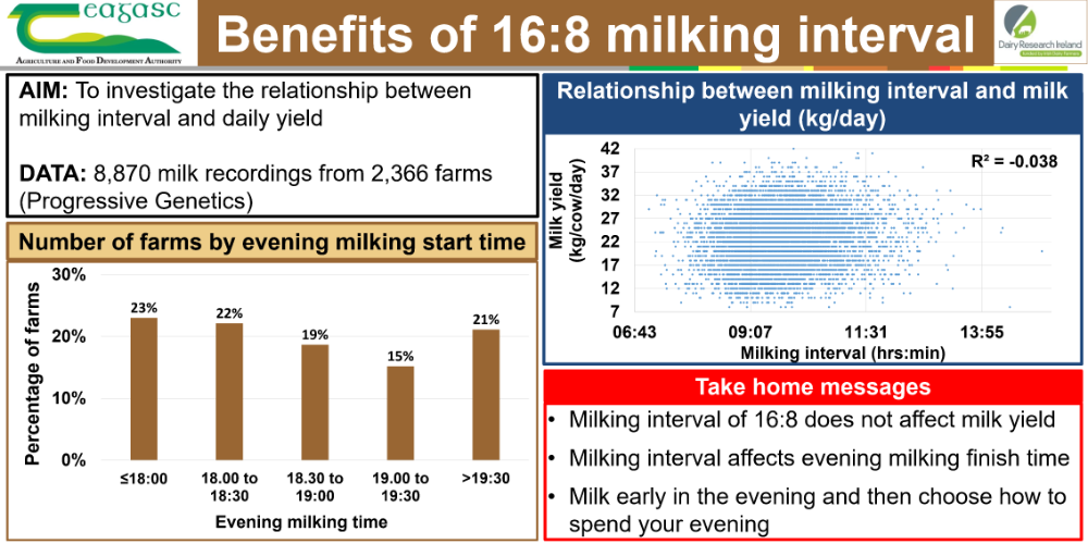 Milking interval