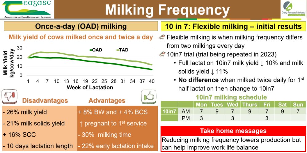 milking frequency