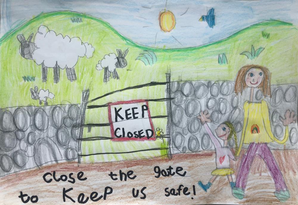 Annie Flanagan farm safety picture