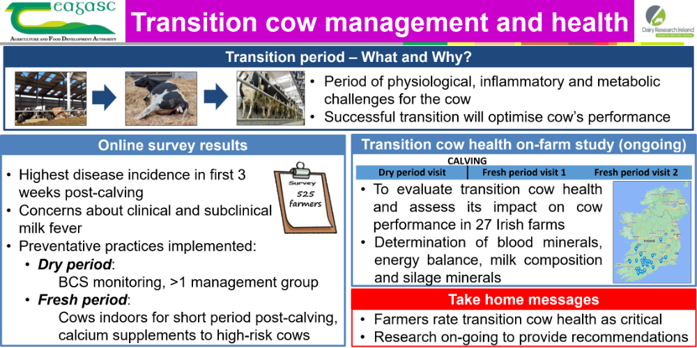 Transition cow management and health board