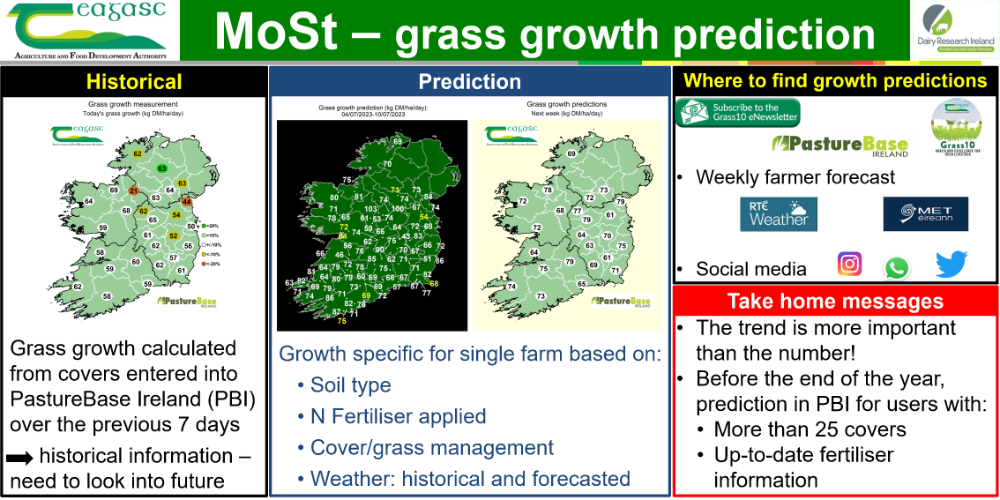 MoSt grass growth