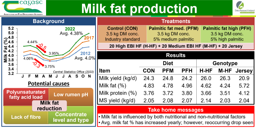Milk Fat