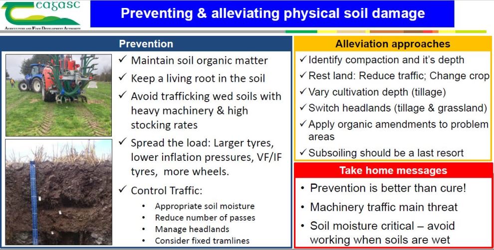 Prevent soil damage by maintaining soil organic matter, keep a living root in the soil,, avoid trafficking wet soils, spread the load and control traffic. To alleviate soil damage, identify compaction and it's depth, rest the land, reduce traffic, change the crop