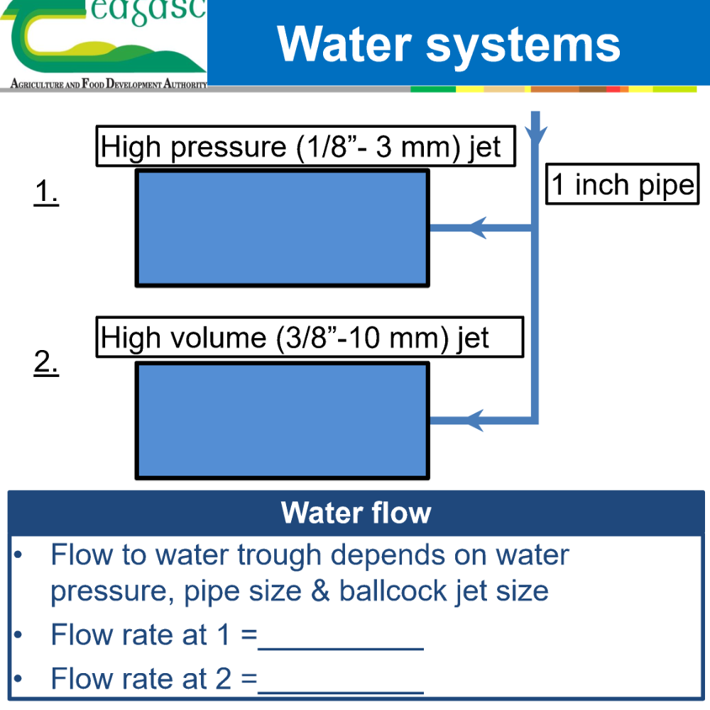 Water 1