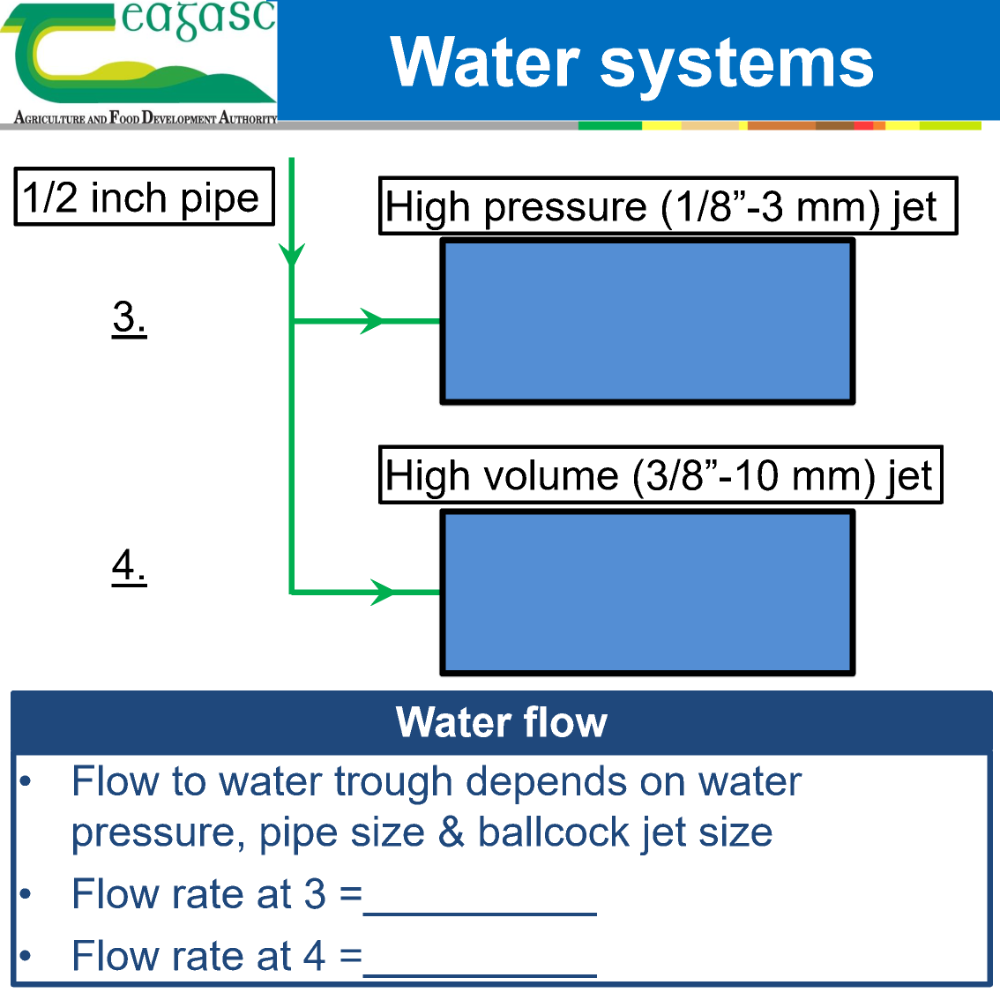 Water 2