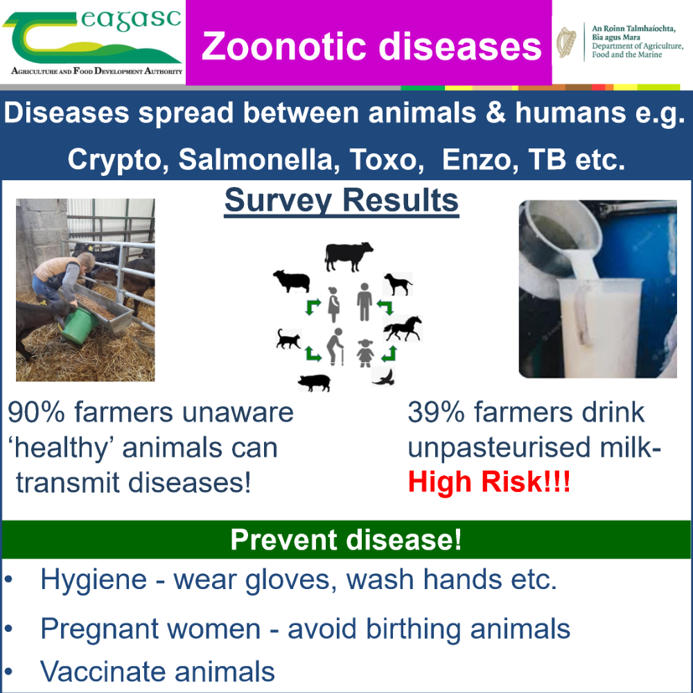 Zoonotic diseases